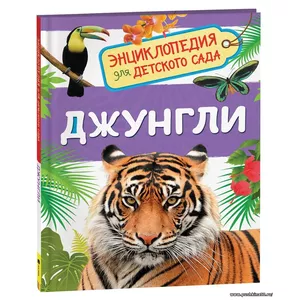 Кликните для увеличения изображения