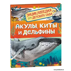 Акулы, киты и дельфины. Энциклопедия для детского сада | Попова Лариса
