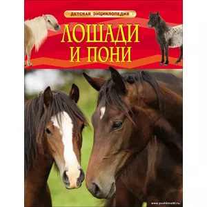 Лошади и пони. Детская энциклопедия РОСМЭН