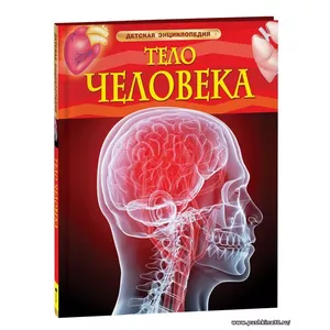 Тело человека. Детская энциклопедия школьника 7 лет | Смит М.