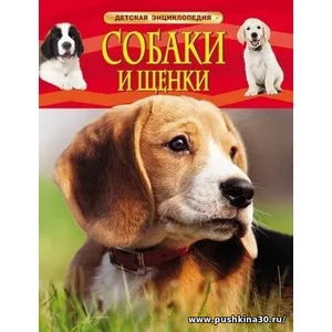 Кликните для увеличения изображения